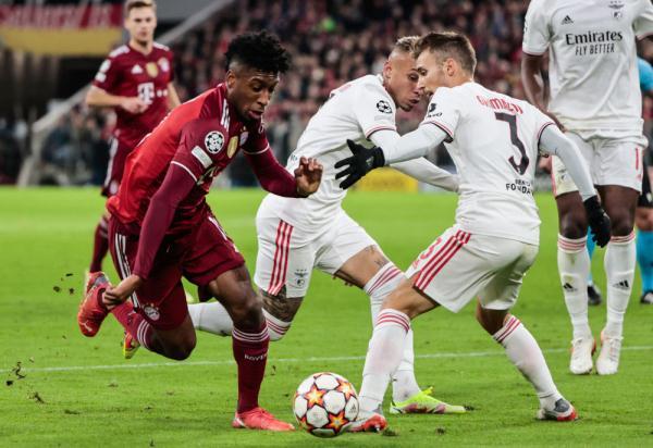 本菲卡再度上演帽子戏法,泰山后防线成筛子!的简单介绍 本菲卡再度上演帽子戏法,泰山后防线成筛子!的简单介绍